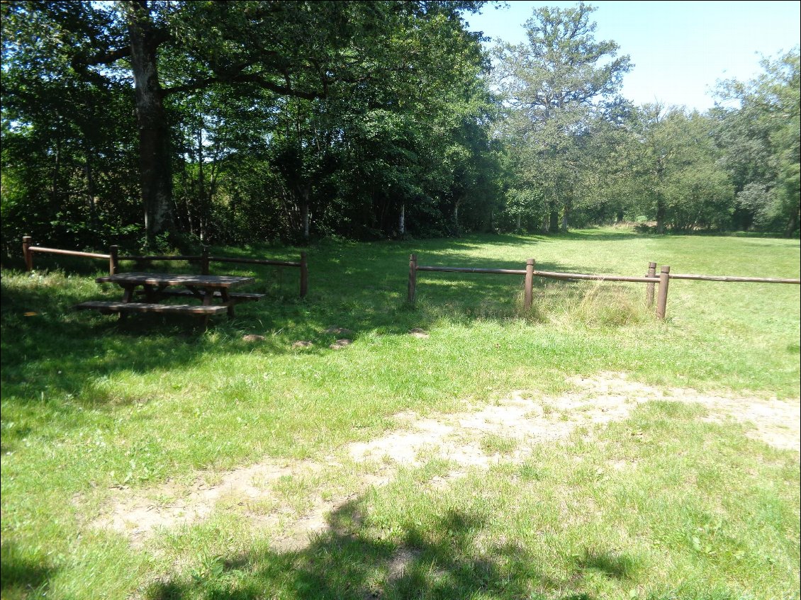 Spot de bivouac quatre étoiles avec pelouse rase, table et bancs...