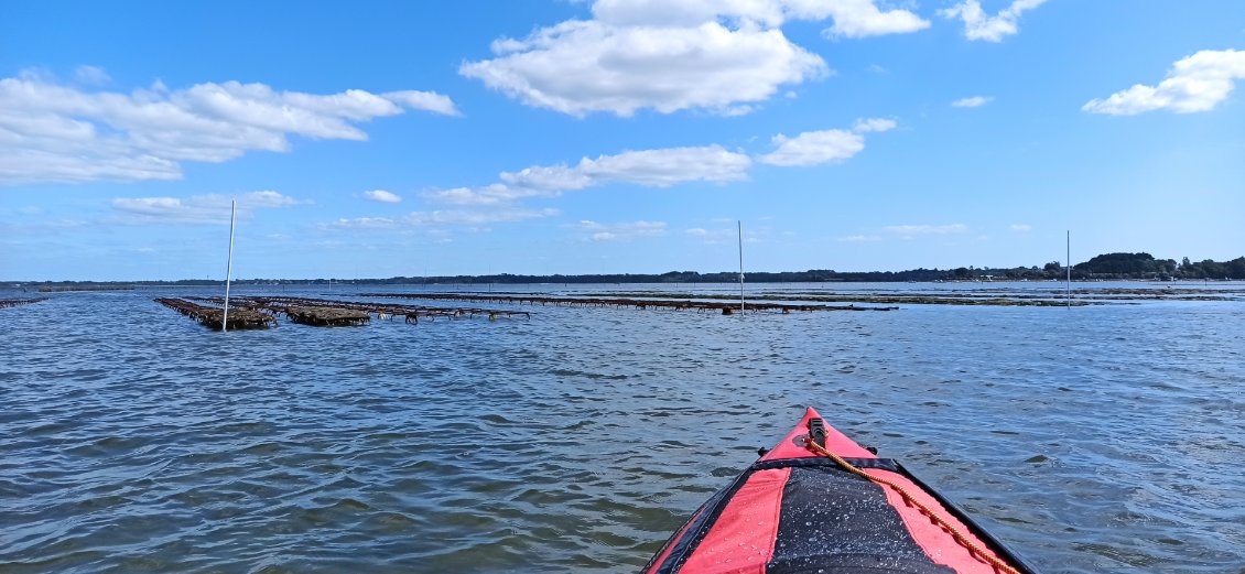 J15. Au retour, à marée basse, les parc à huîtres sont apparents.