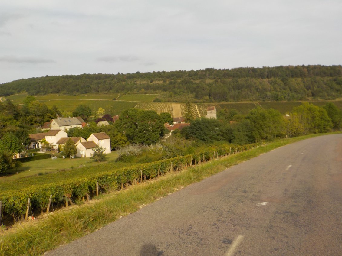 vignes en Bourgogne