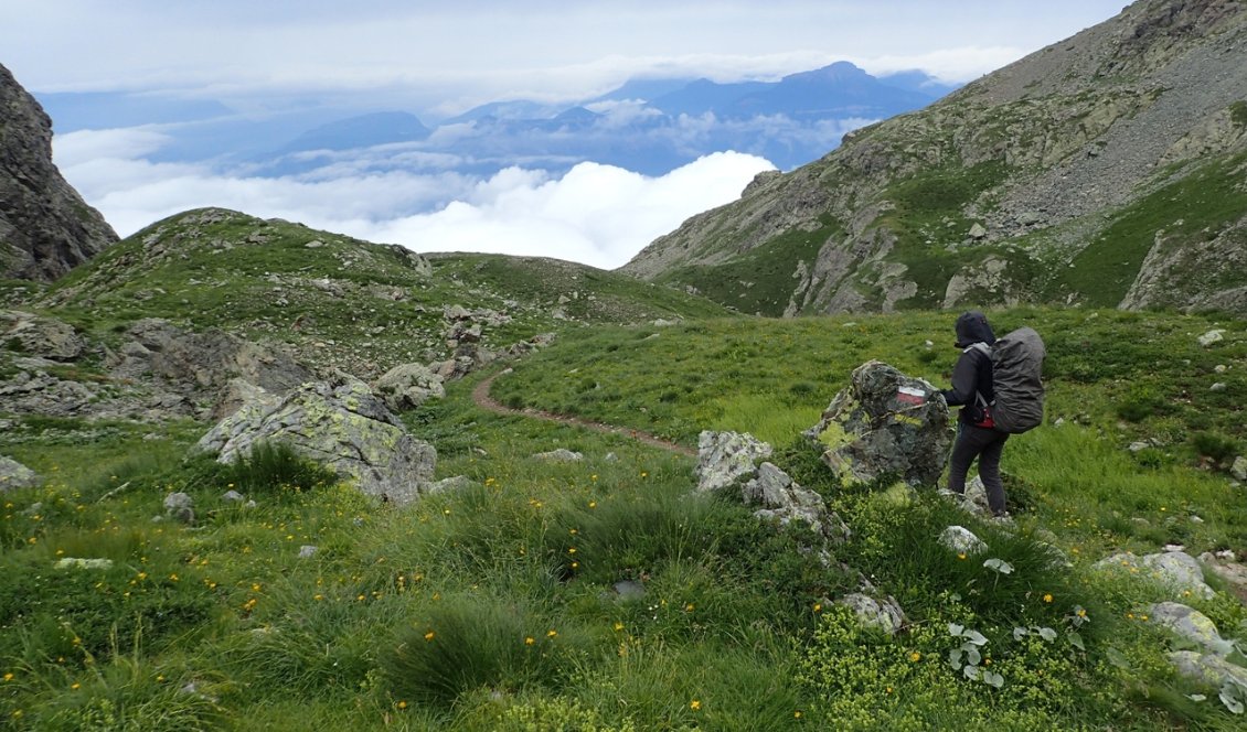 Beau sentier facile à suivre.