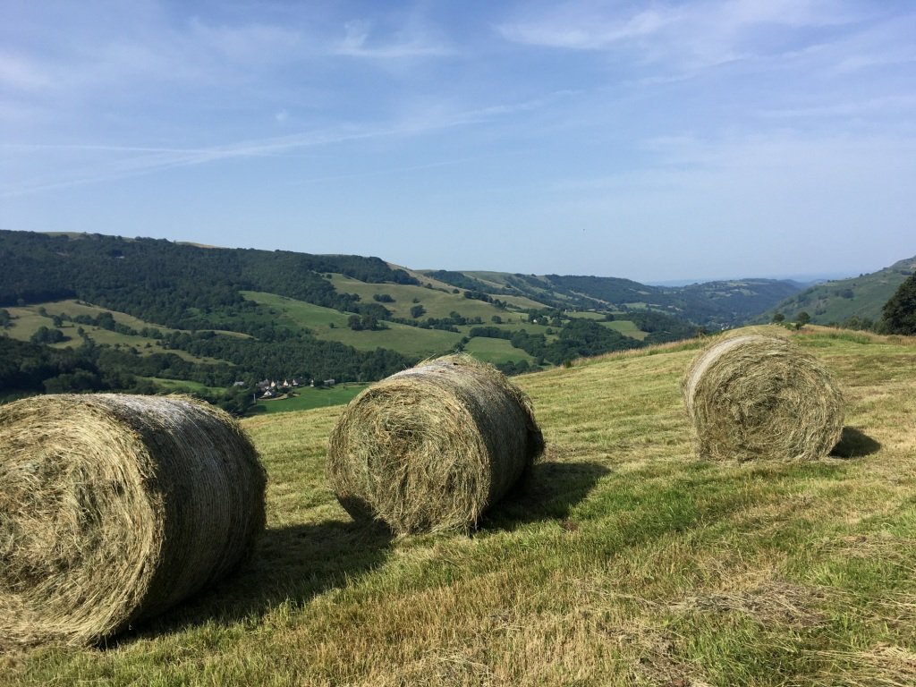 Sur les crêtes après le col St Georges