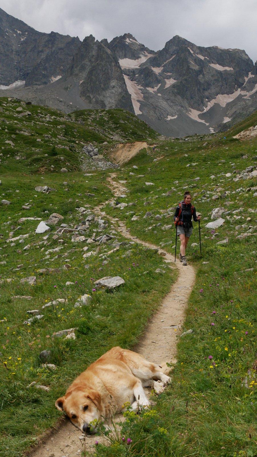 Il a tellement apprécié le sentier qu'il y fait sa sieste !