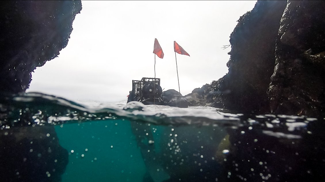 Nous passons la matinée à observer les fonds marins, la faune, la flore et redécouvrons des sensations enfouies au plus profond de nous-même.