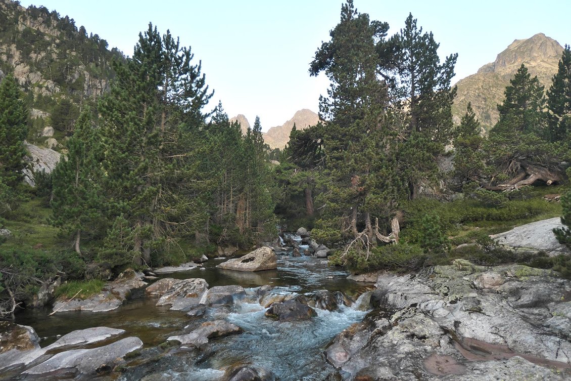 J37. Le Gave des Batans au petit matin. Vallon du Marcadau (Hautes Pyrénées).