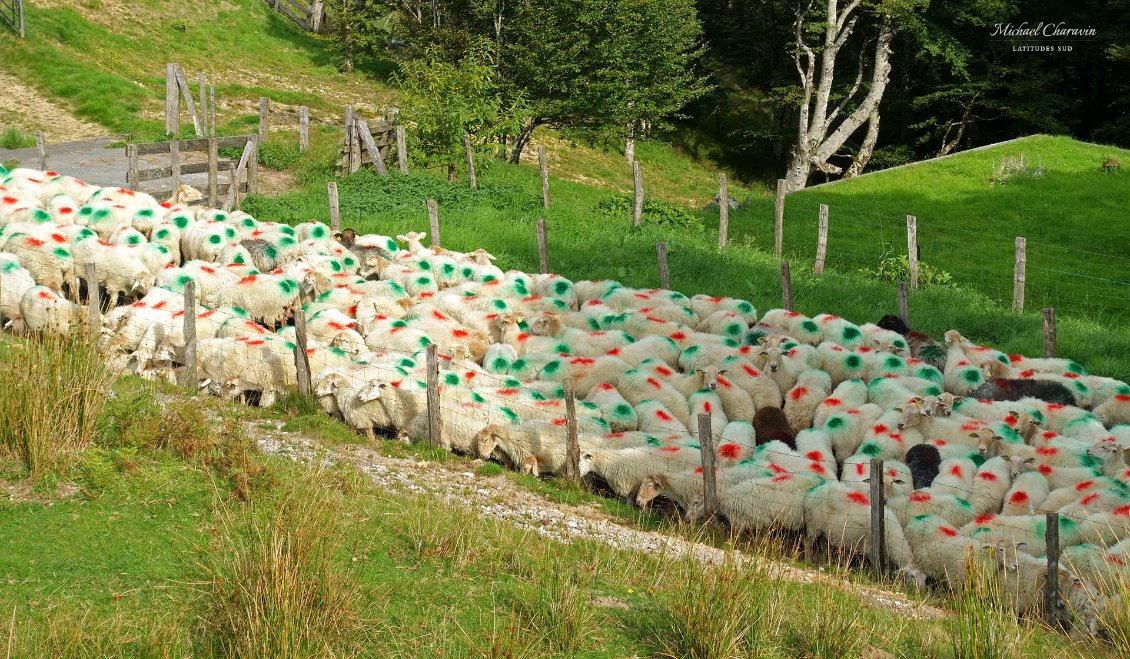 Patchwork.
Au col frontière de Burdincurutcheta