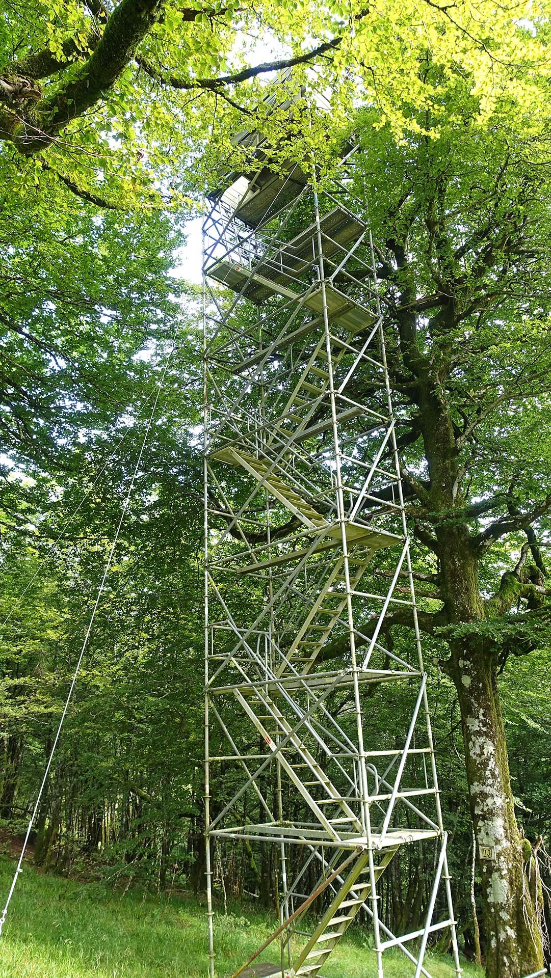 J47. Palombière (tour pour chasser les palombes) moderne en montant vers le sommet du Lindus. Les crêtes du Pays Basque, qu'il soit français ou espagnol, en sont truffées.