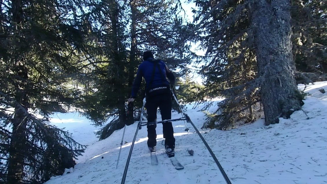 J2. Séquence arbres.