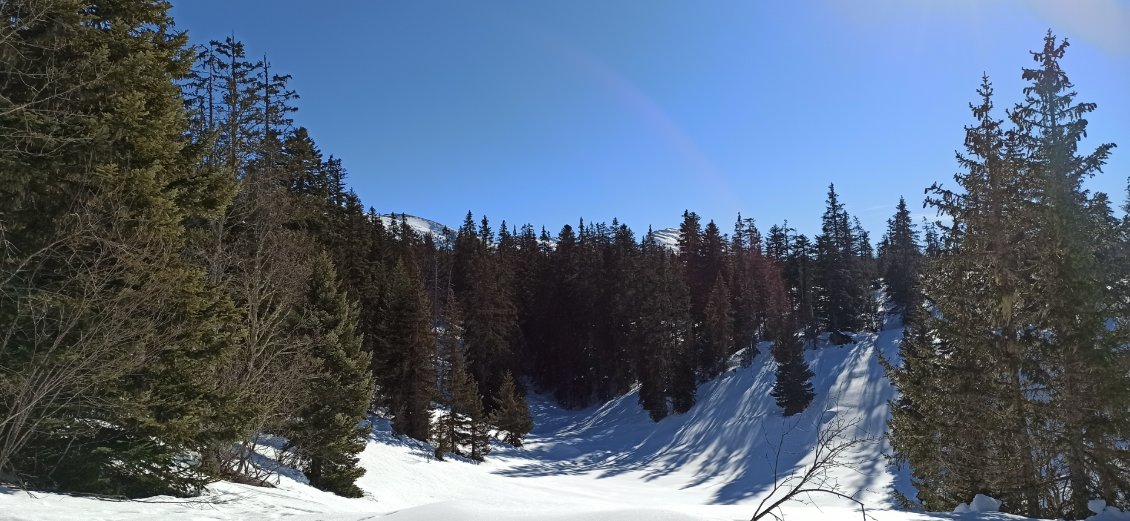 J3. Enfin sorti des bois. J'en profite pour faire une photo. C'est beau ! Zut ... distrait je me rends compte bien trop tard que je me suis trompé d'itinéraire... voilà pourquoi j'ai avancé avec tant de difficultés : je n'étais pas dans le GR!