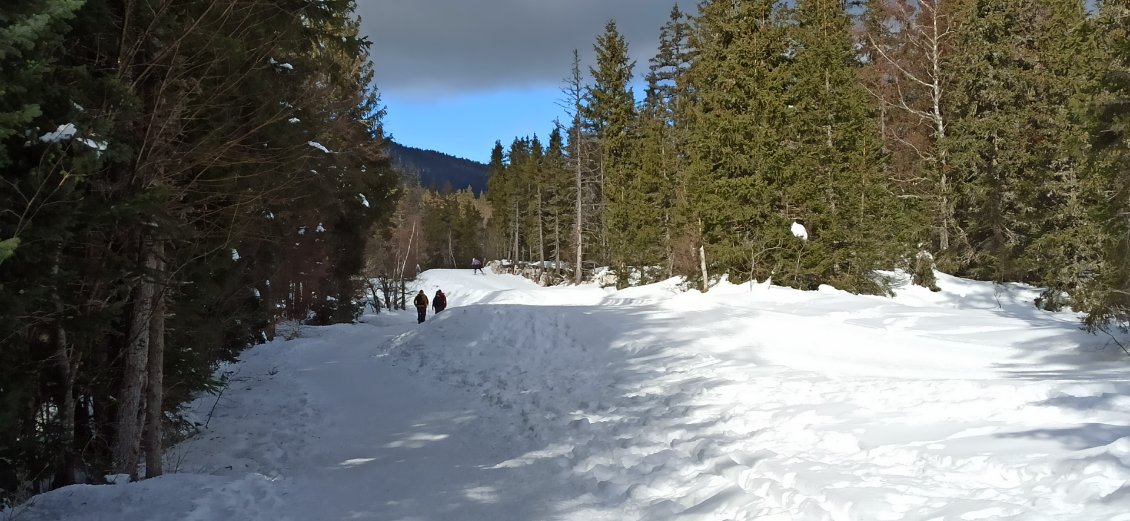 J5. Piste de fond et randonneurs. Pas de doute, j’approche de Corrençon-en-Vercors.