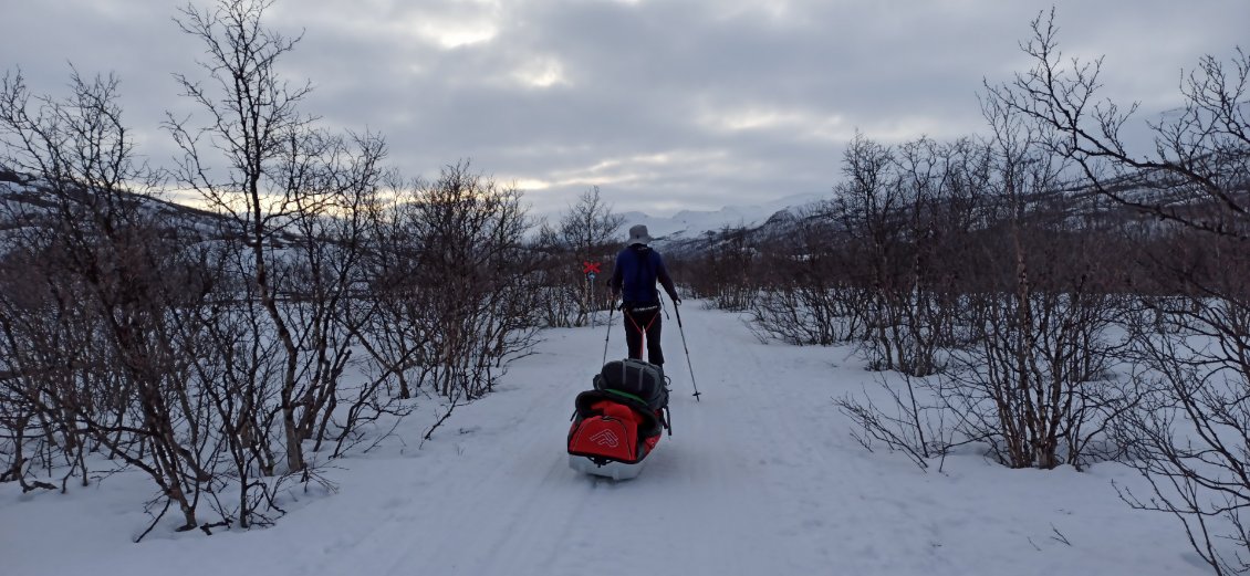 J1. Epuisé de déployer tant d'énergie pour ne pas avancer à remettre sans cesse ma pulka renversée à l'endroit, mes efforts ont finit par payer. Un régal cette piste!