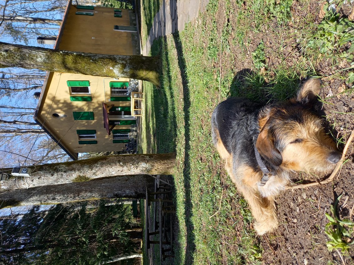 La casa del guardie, refuge au superbe accueil bien montagnard. Le tenancier est encore plus fous.... velo cargo chargé avec le chien, musculaire .... 100kg de vélo + chargement emmenés tout le tour de l'Espagne et Portugal. Je me sens léger, léger ....