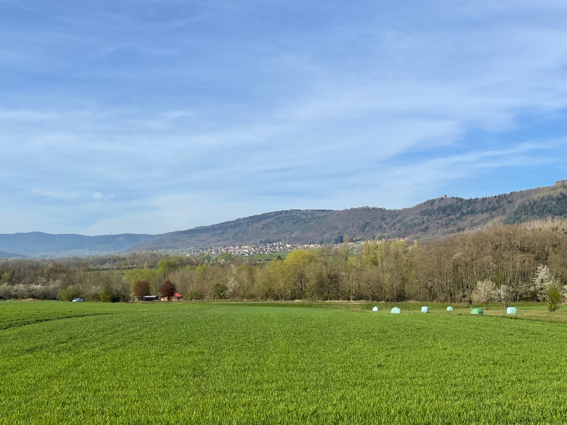 À la sortie de Saverne.