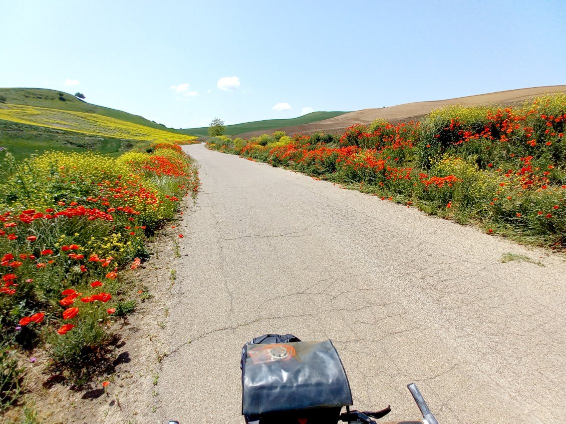 Vers Venaso, deroule de fleurs, a longueur de journee, magnifique, ca porte !