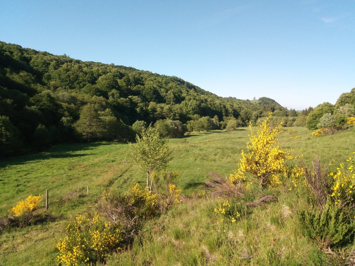 De petit petit chemin dans les fond de vallée avant de monter, monter, monter.