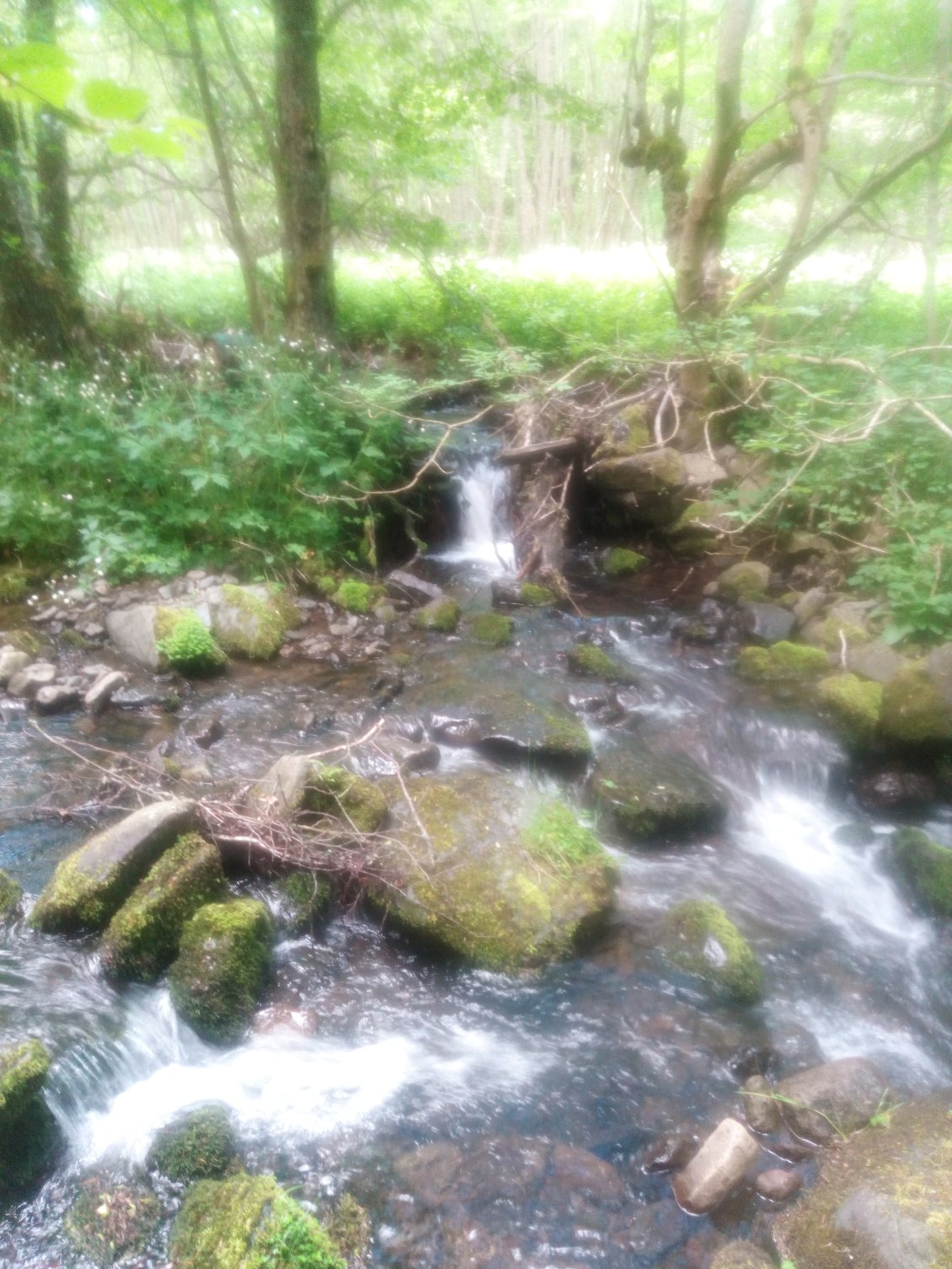 Pose à midi au bord de l'eau. Fraicheur et quiétude l'eau qui coule.