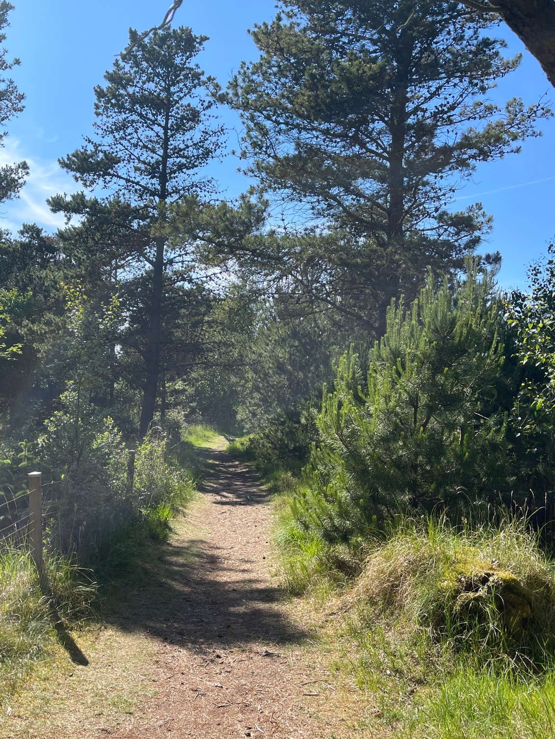 La piste cyclable