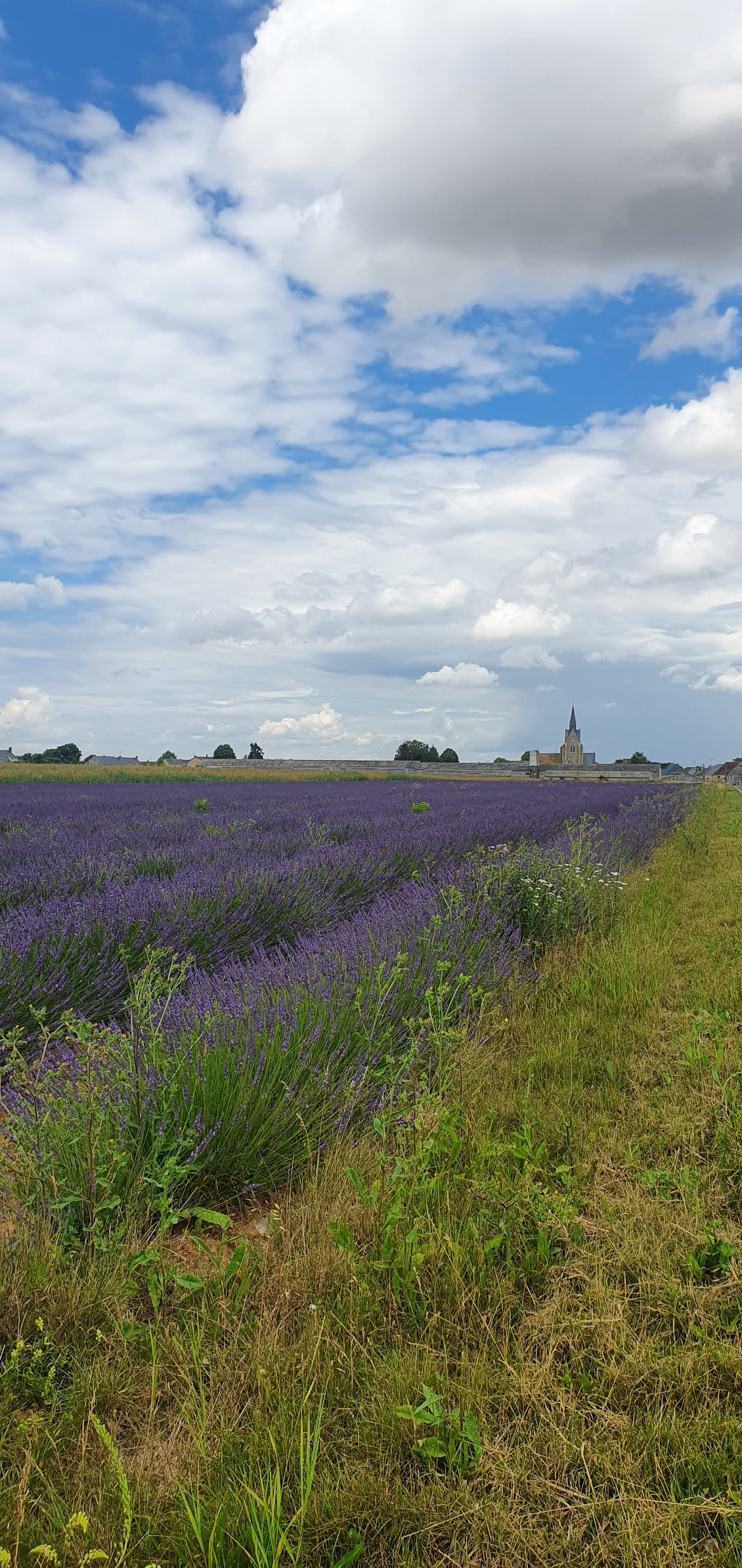 Un petit air de Provence dans la Beauce