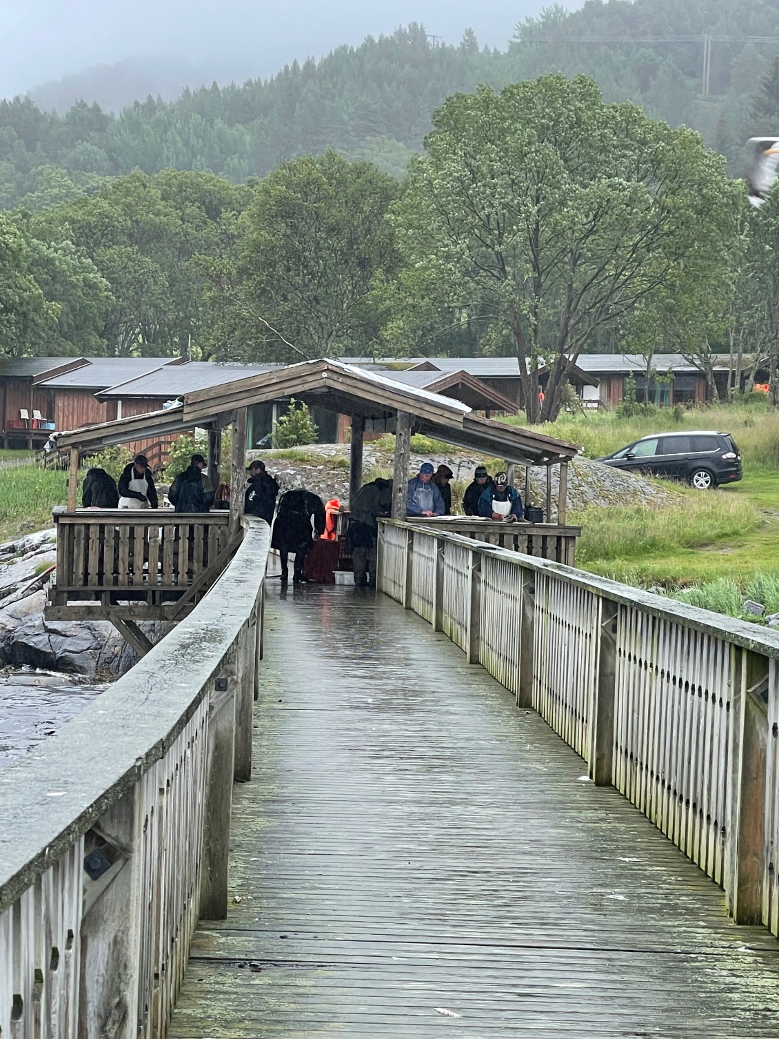 Les pêcheurs clandestins