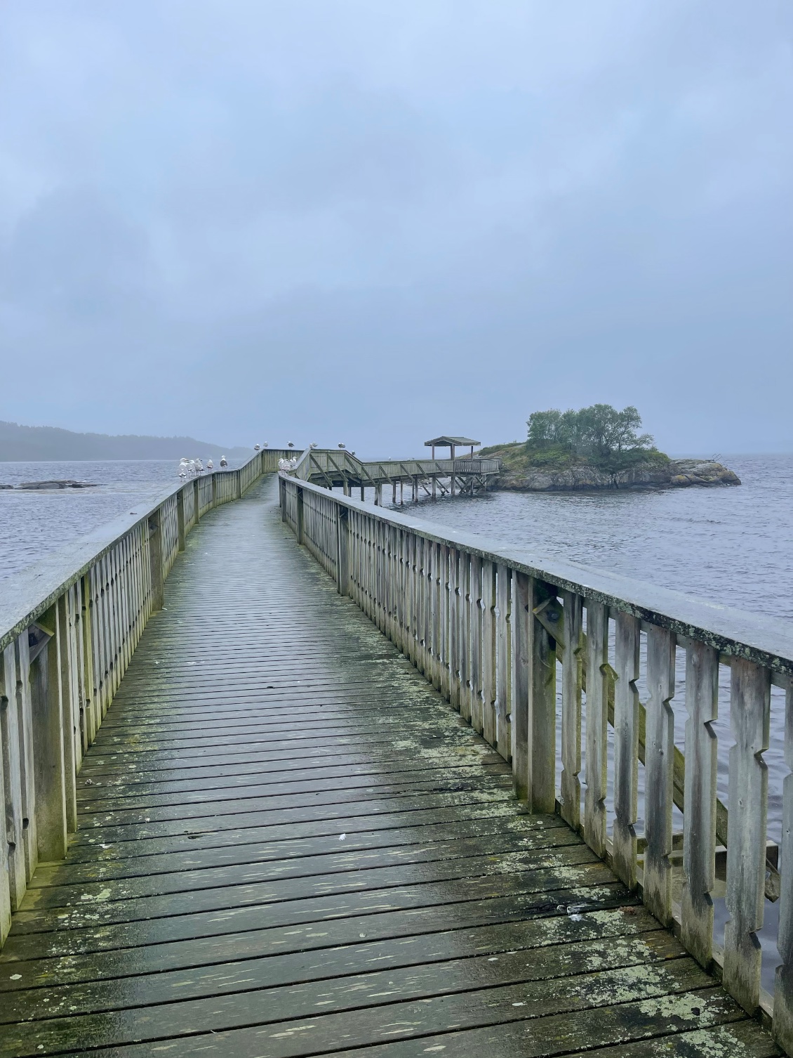 Le ponton rejoignant l’îlot