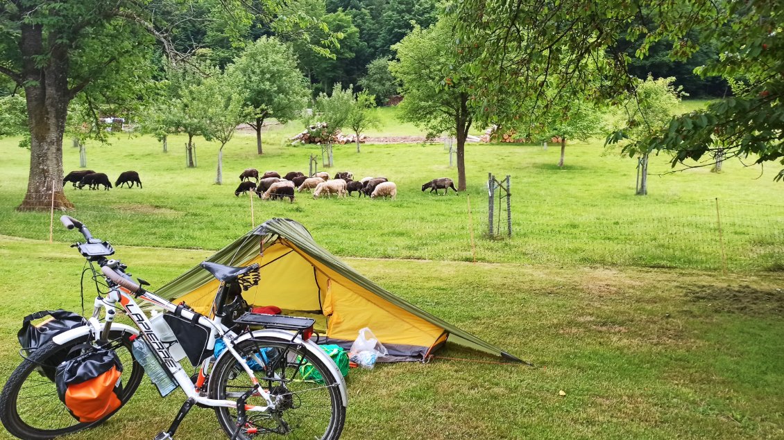 J14. J'ai trouvé une ferme pour dormir près des moutons. J'ai eu la visite d'une poule (pas au sens figuré), un paon qui paradait toutes les 15 minutes (le temps de faire un tour de ferme), des enfants qui jouaient à côté intrigués par la tente, et un peu plus loin les vaches. Pour changer j'ai encore eu un orage en début de nuit. La bouteille d'eau mal rebouchée a fui dans la tente durant mon sommeil ... mais je préfère ça à la bouteille à pipi ! Voyage autrichien à suivre ...