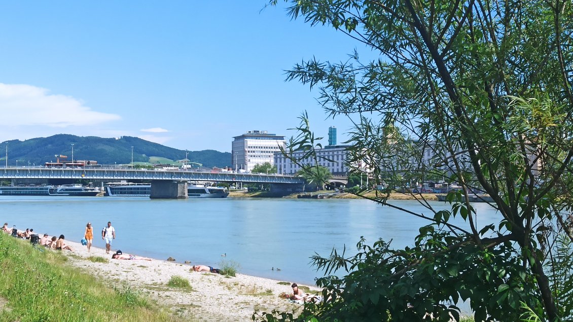 J15. A l'entrée de Linz c'est bronzette le long du Danube !