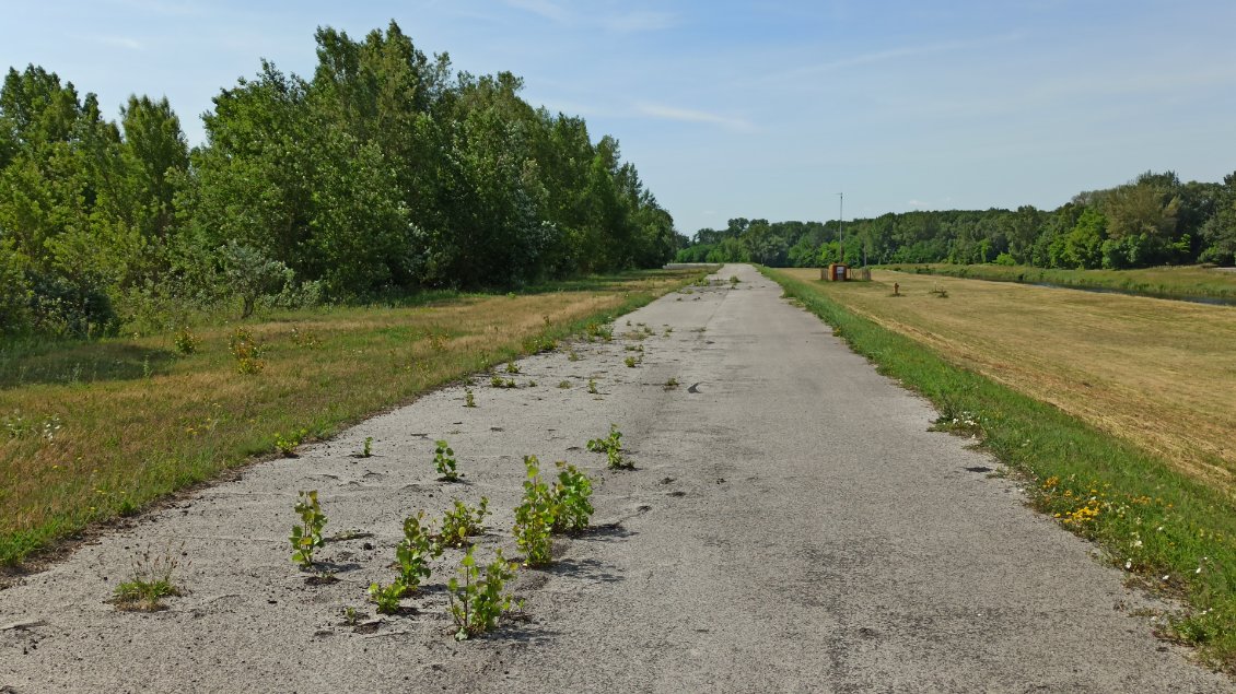 J25. À mon entrée en Hongrie la véloroute semble être à l'abandon.