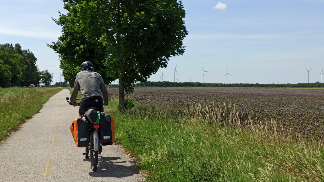 J25. Ce délaissement est bien vite supplanté par une piste cyclable au top le long d'une route circulée, avec un paysage ouvert sur des exploitations agricoles.