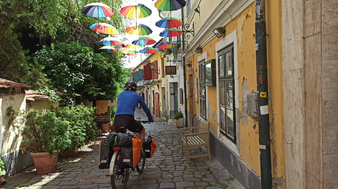 J28. Dans les petites rue de Szentendre. La ville est réputée pour ses musées, galeries d'art et artistes.