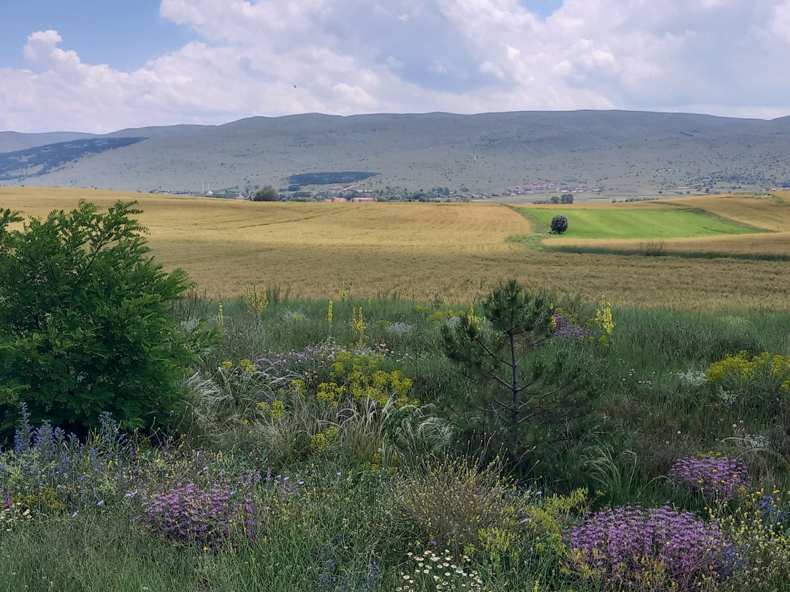 Region tres agricole, au pied du plateau anatolien