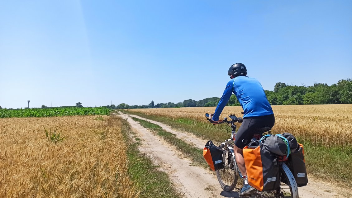 J31. Je traverse aussi des champs aux jolis couleurs.