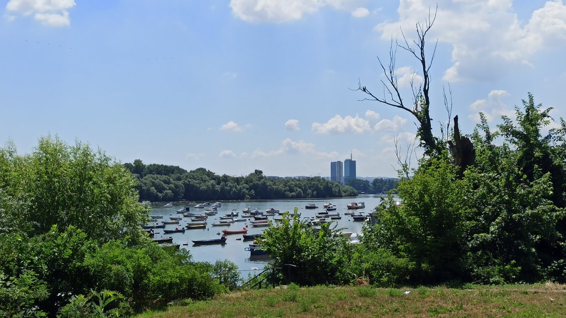 J38. Après l'avoir perdu de vue pendant 2 jours, mon arrivée à Belgrade est marquée par mes retrouvailles avec le Danube.