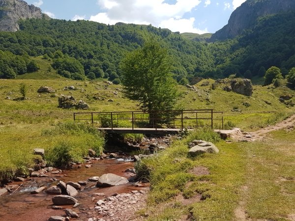 Passage par le pont ou le ruisseau ? Ca dépend de l'âne...