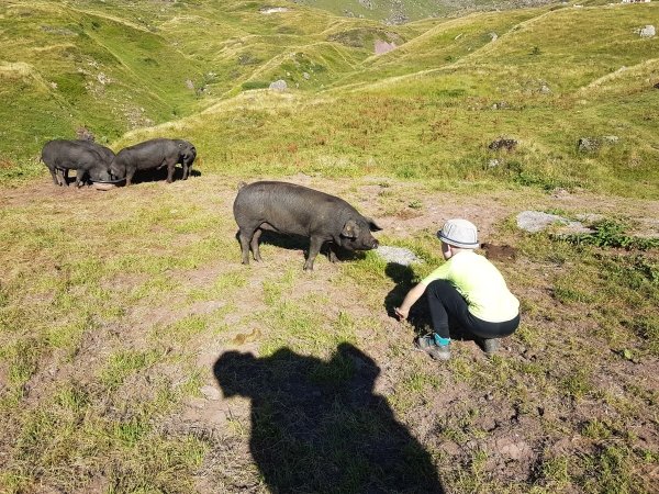 On se demande qui regarde qui ? :-)