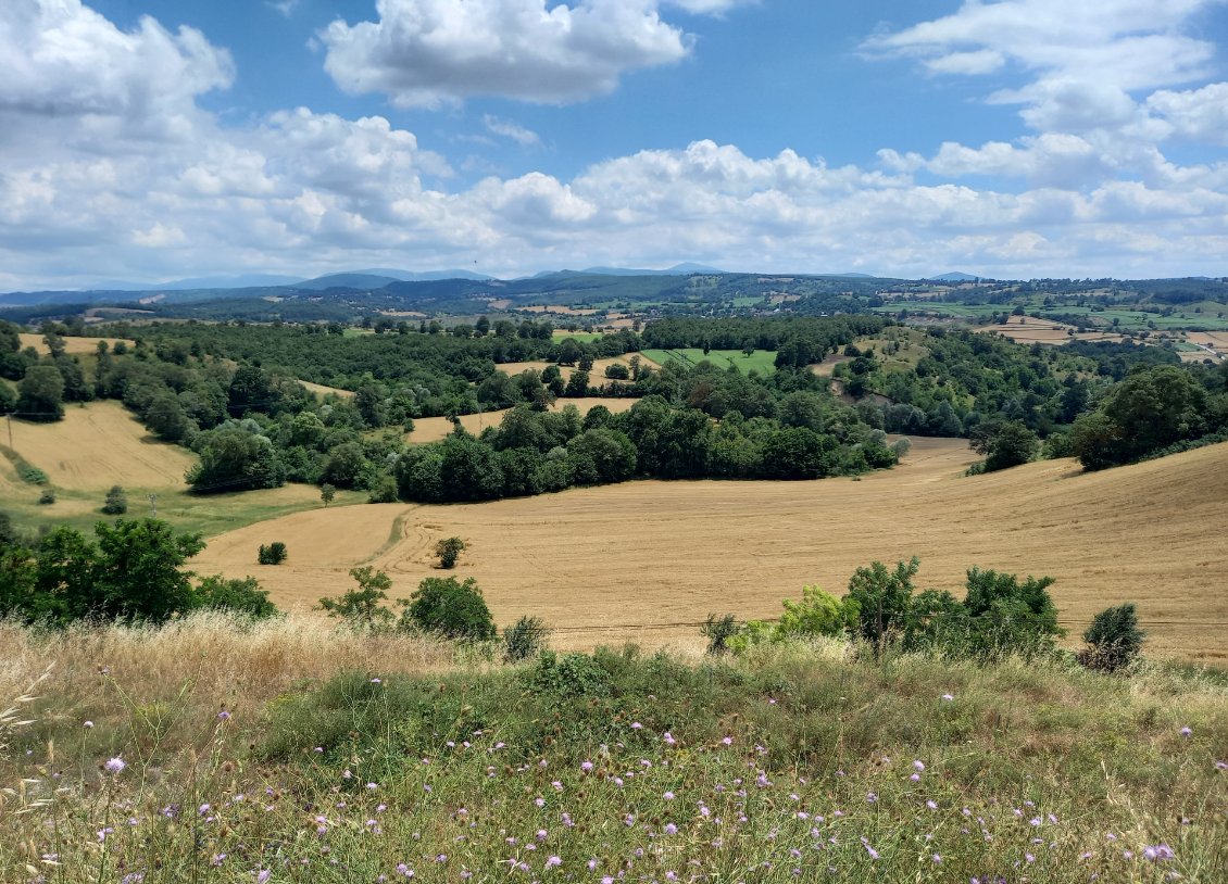 Bois et polyculture vraiment proches de ce qu'on connait en France