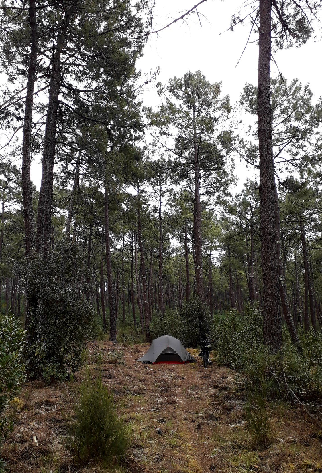 Bivouac dans les Landes