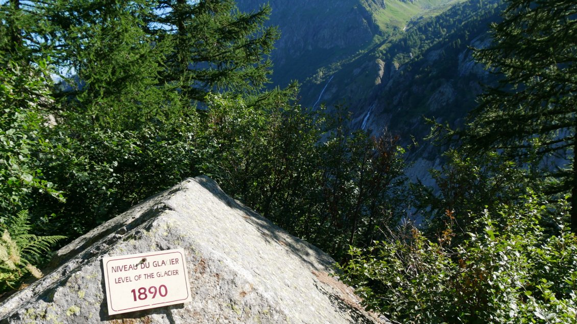 Le niveau du glacier en 1890