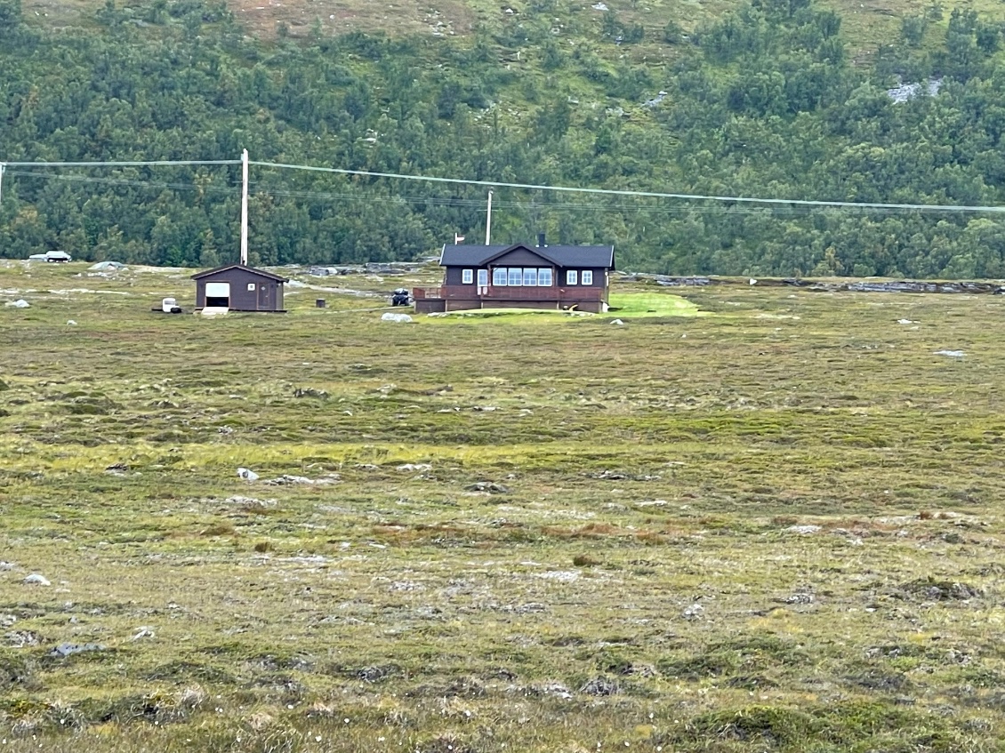 Une pelouse bien verte autour de la maison