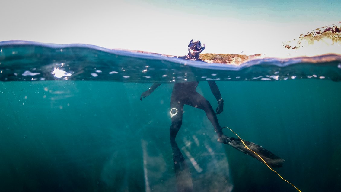 La limpidité et la fraicheur de l’eau (13°C) à cet endroit est saisissante. Probablement l’influence du Fromveur nous narguant à proximité. (source : Watch The Sea)