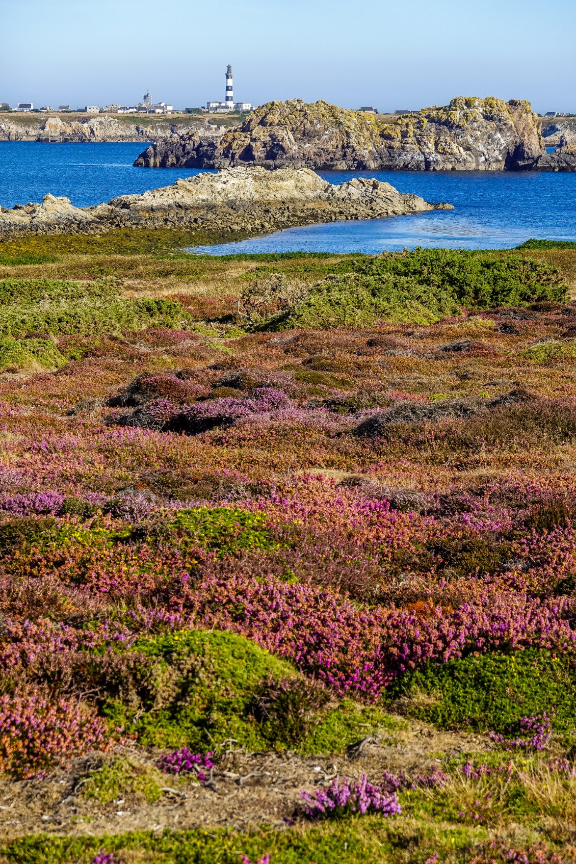 et le Créac'h aux couleurs du drapeau breton. (source : Watch The Sea)