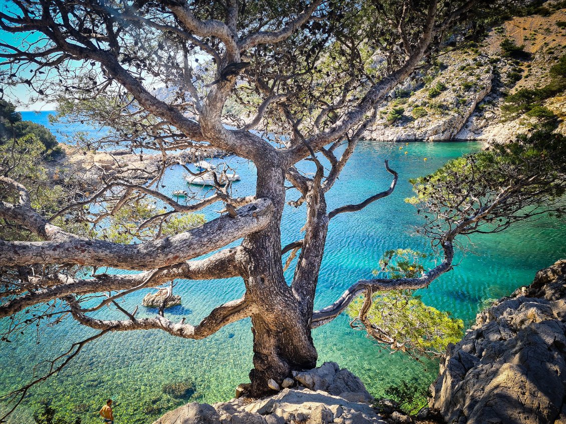 Les Calanques entre Marseille et Cassis