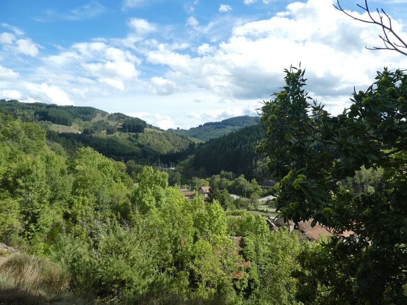 Le paysage change: le relief est plus arrondi avec des forêts mélangeant Châtaigniers, Résineux et autres feuillus.