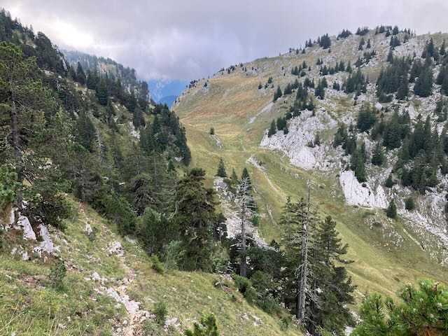 Le col de Bovinant depuis le chemin montant au col du Frêt