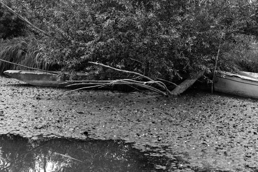 Barques à la retraite.