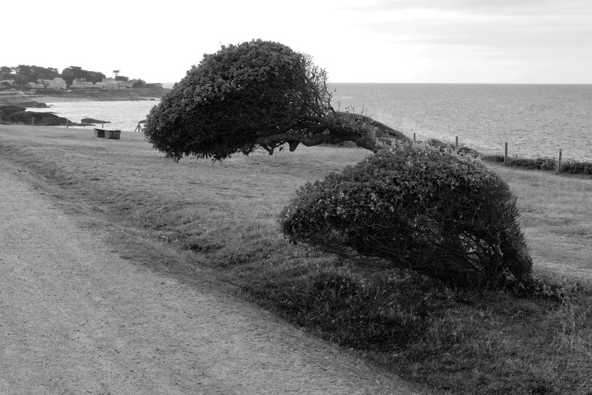 Y aurait-il parfois un peu de brise dans le secteur ?