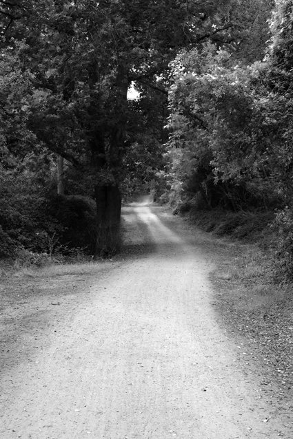 De retour sur le joli chemin quitté hier soir.