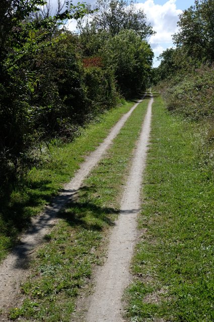 La route, toute en lignes droites...