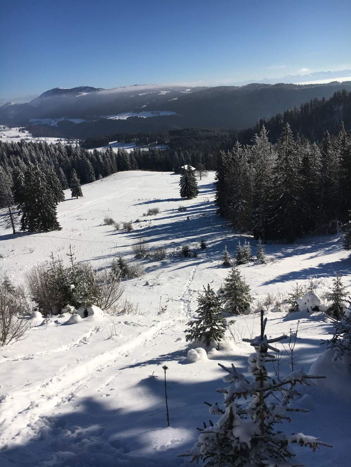 On aperçoit le Cernois tout en bas! ( un joli hors piste à Metabief !🤩