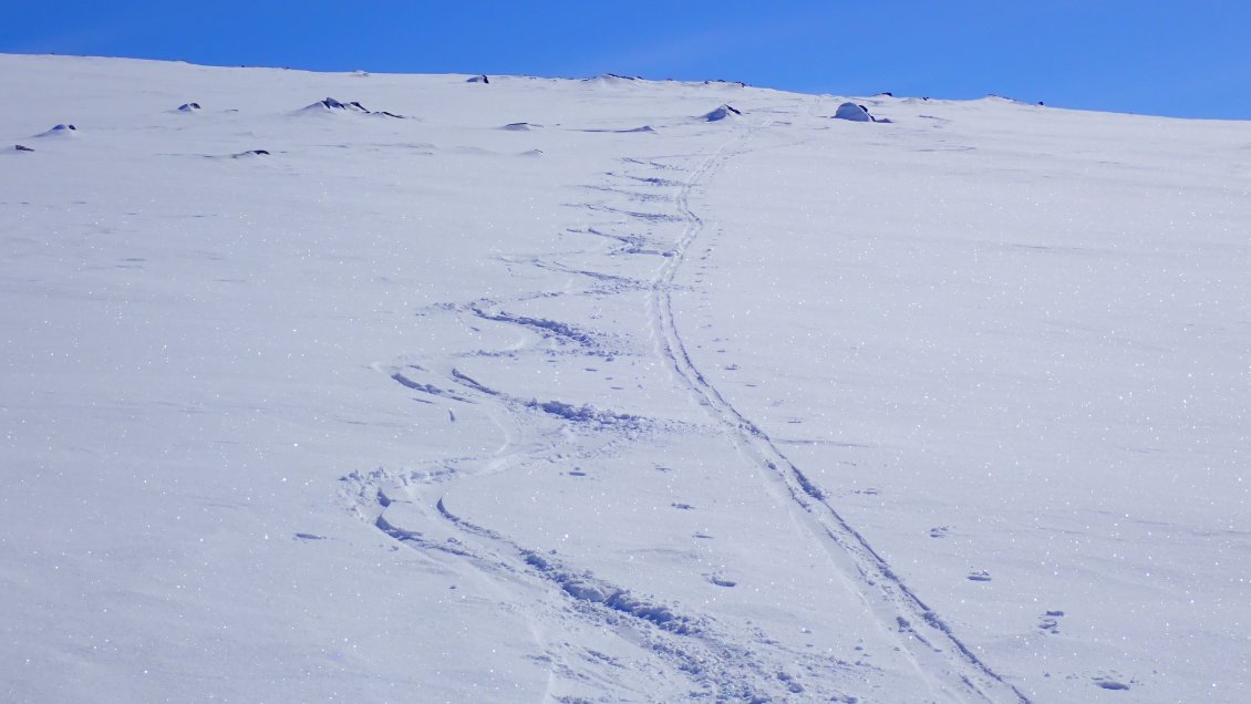 Descente de rêve !!!