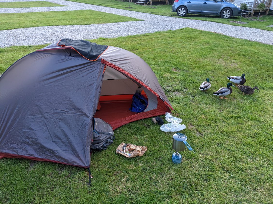 Camping canards