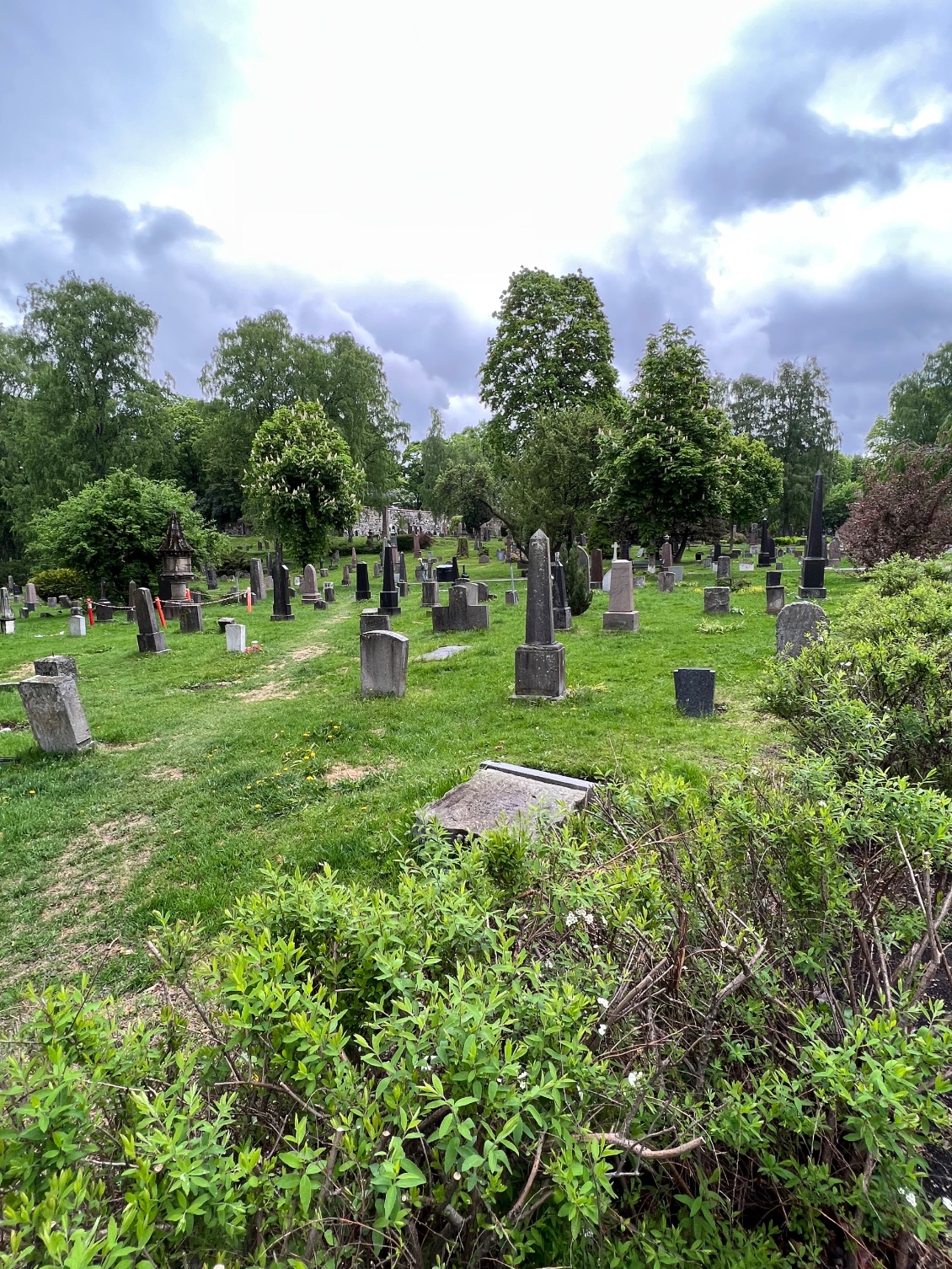 Cimetière centre D’Oslo